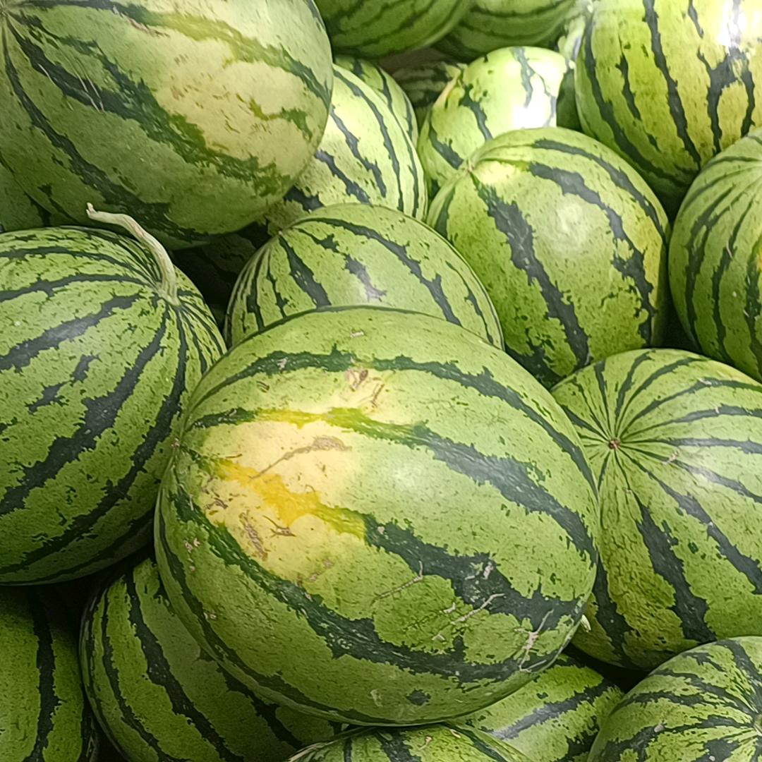酒后代驾
