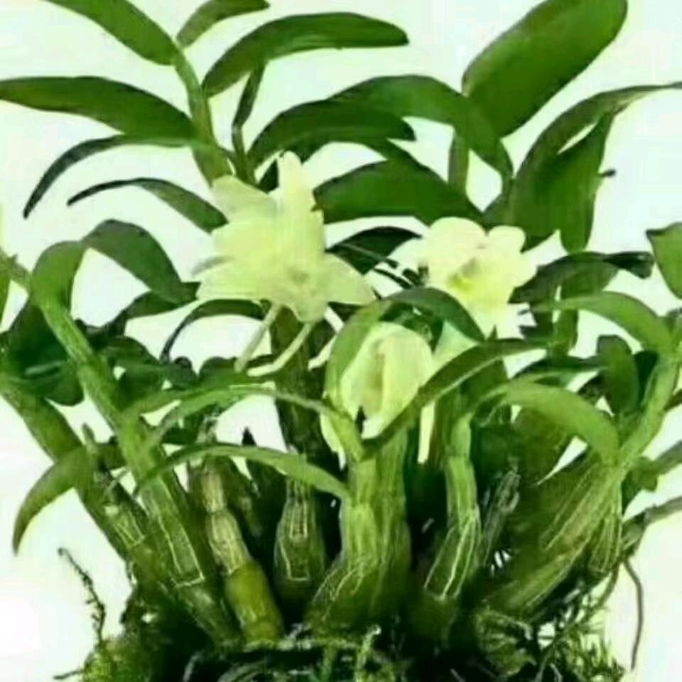 开心美一天