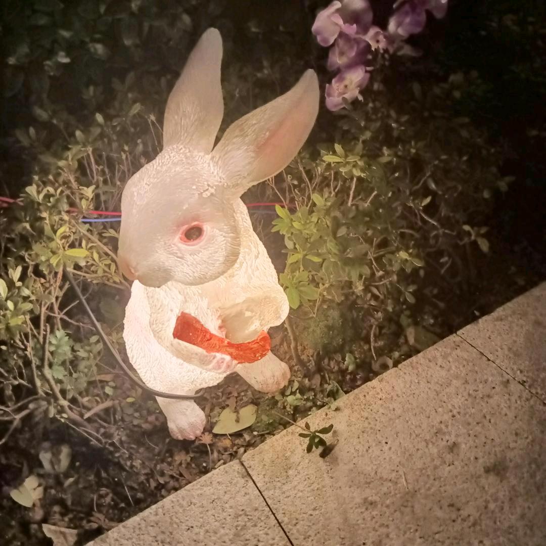 骆弟琼