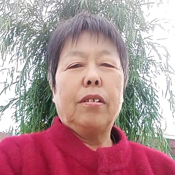 老秦姐