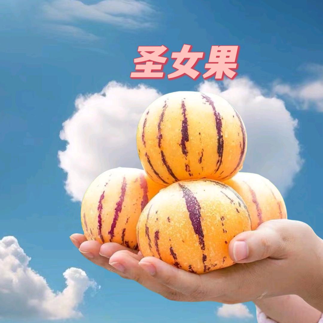 🌺小糊碟🌺