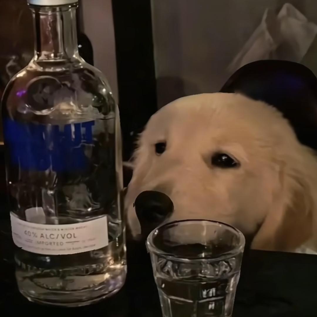 ღ᭄ꦿ꯭ℳ保护悲伤悦๓ღ᭄ꦿ