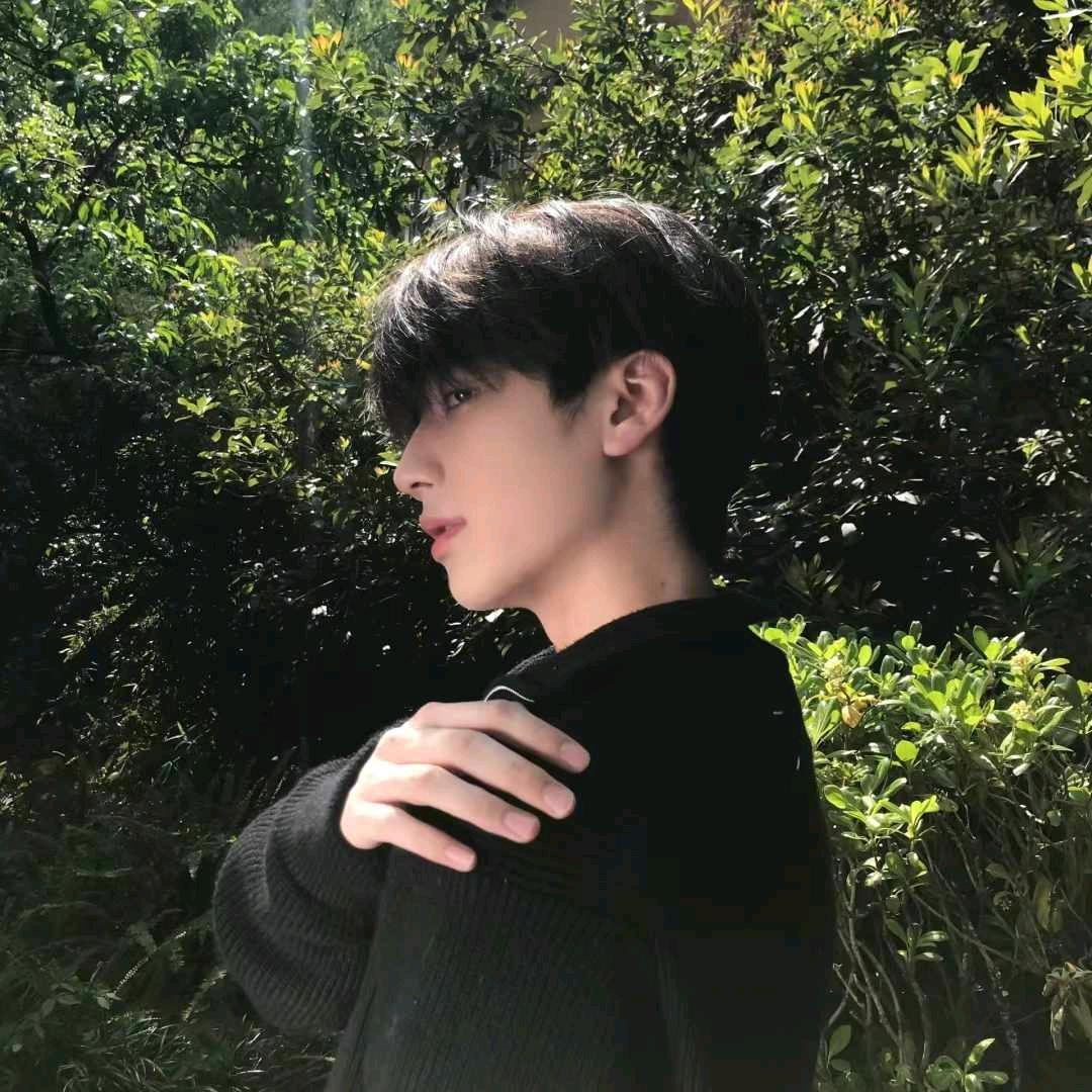 春山如梦📷