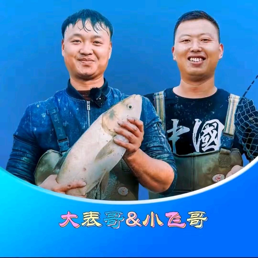 表哥与飞弟
