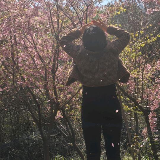 辉辉姑娘