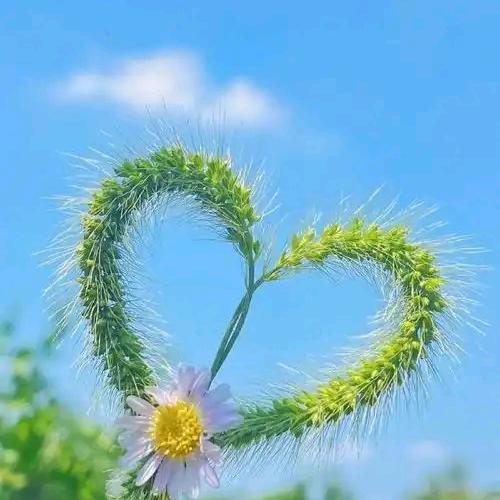 柒玖🎀🌱⁰☁️⁷²³