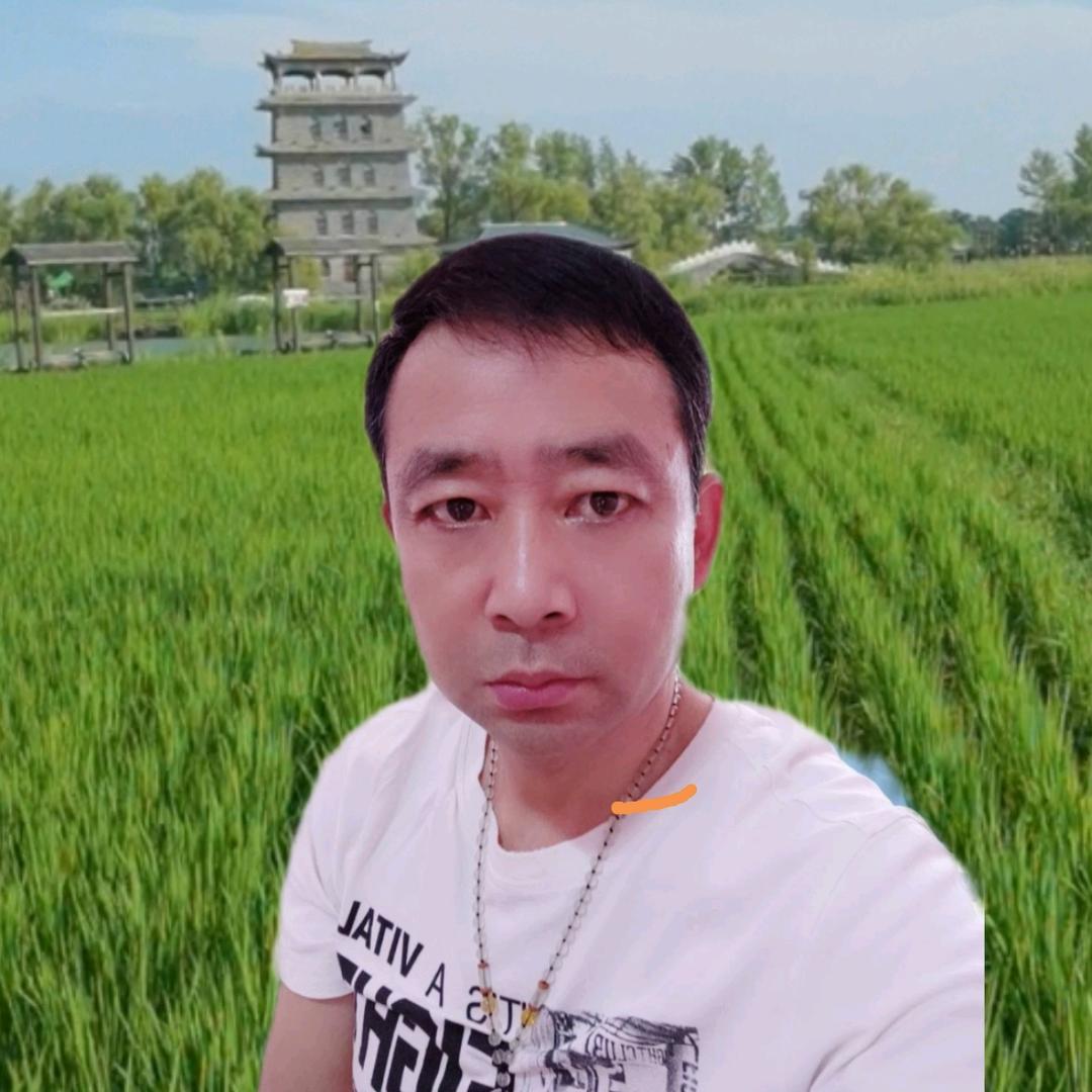 刘哥.