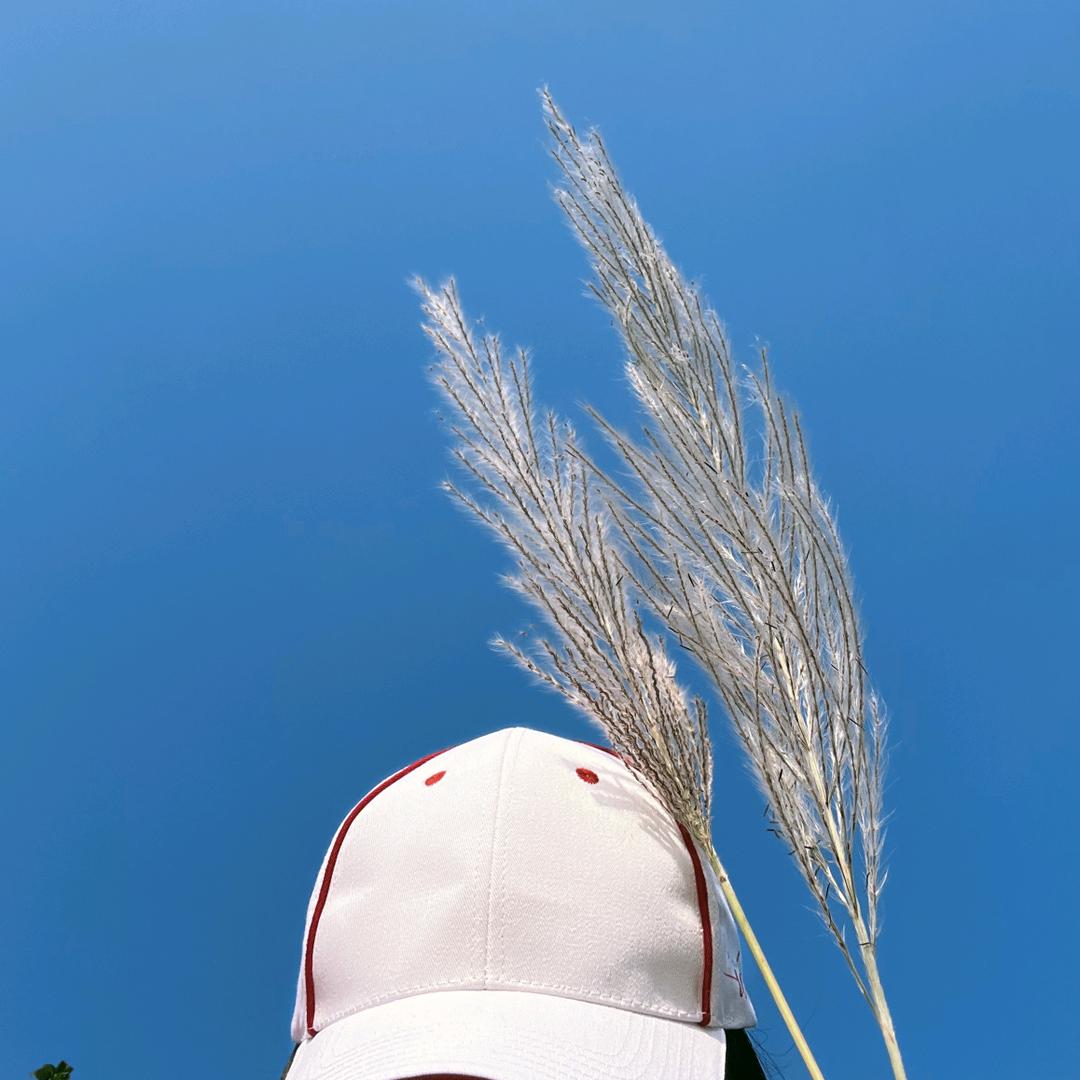 荔枝～～