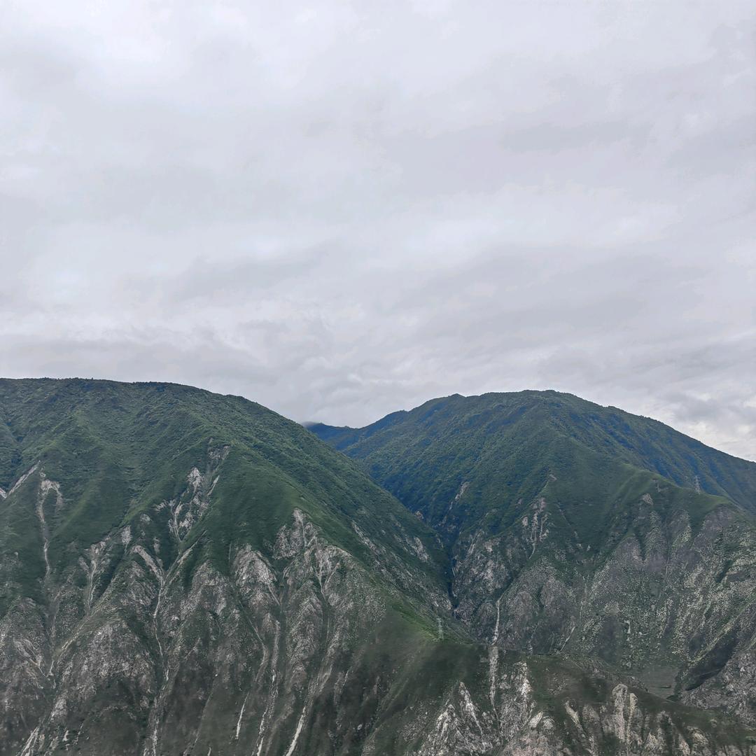 淡/定