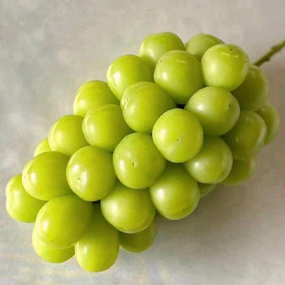 等你