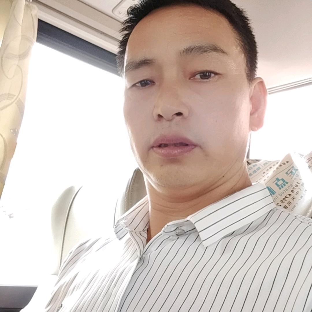 金色的夏天（朱）