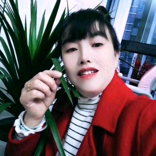 红玫瑰🌹🌹🍎🍎