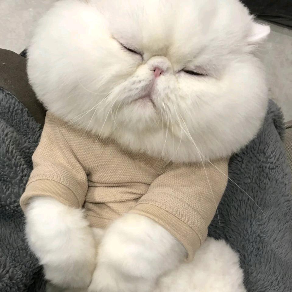 L✁