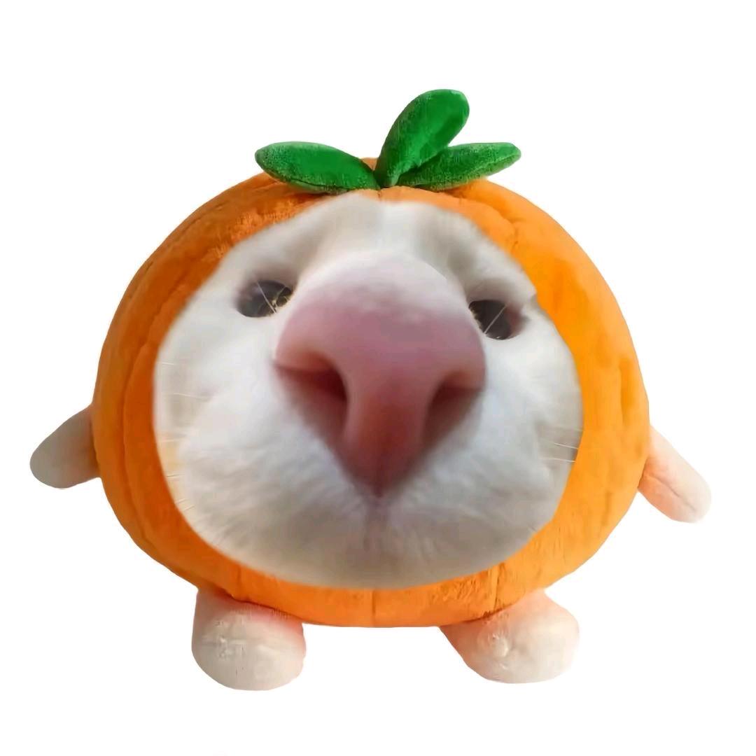 碎心小海苔