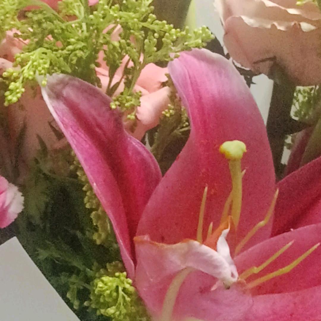 用户3302971288300蓝天