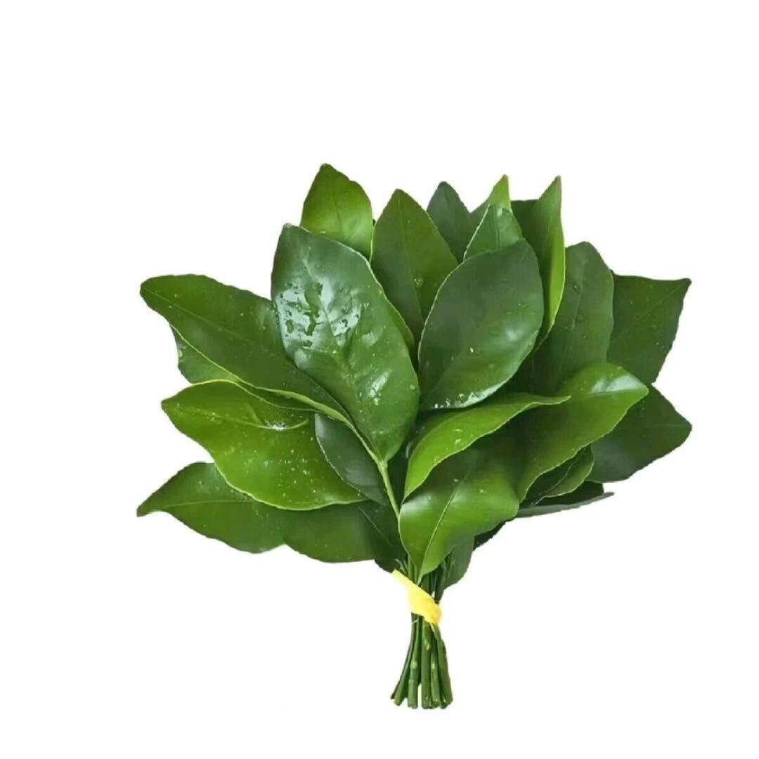 戾气