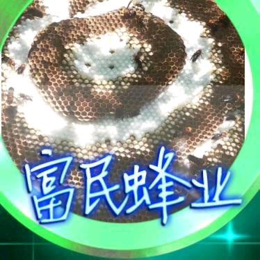 广西新富民蜂业  （黄培）