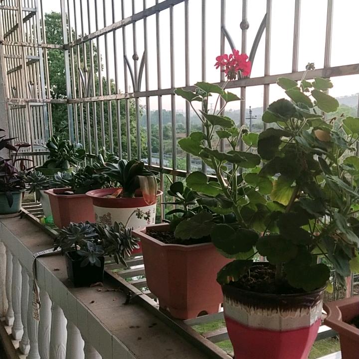 开心有你
