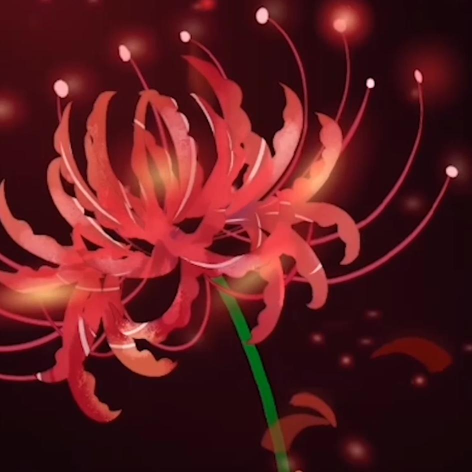 ♈️ℳ̶̶̶̶໌尩迁金 ℘࿐