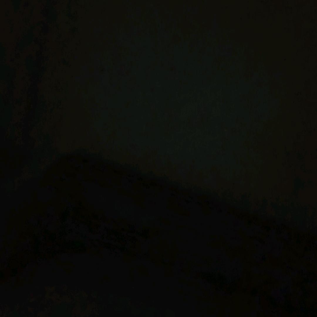 爱情没什么道理