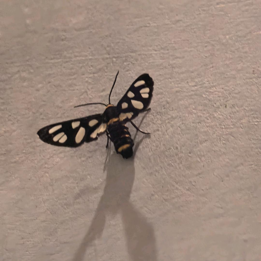 珊珊🎶
