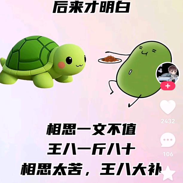 十三梅