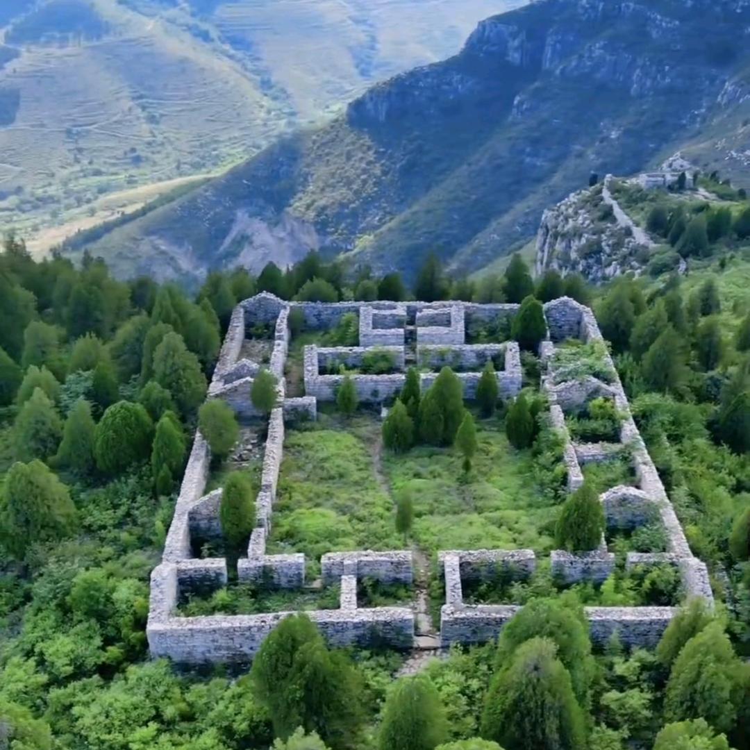 养鸭–肉鸭养殖李