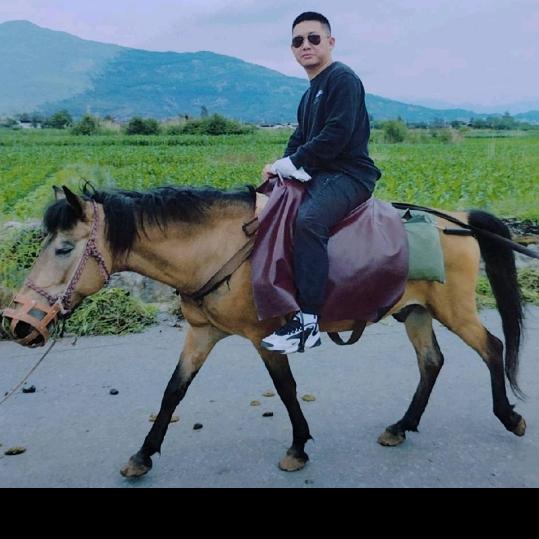 的哥小曹