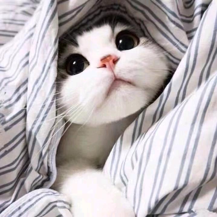 超宝丶(无怨无悔)