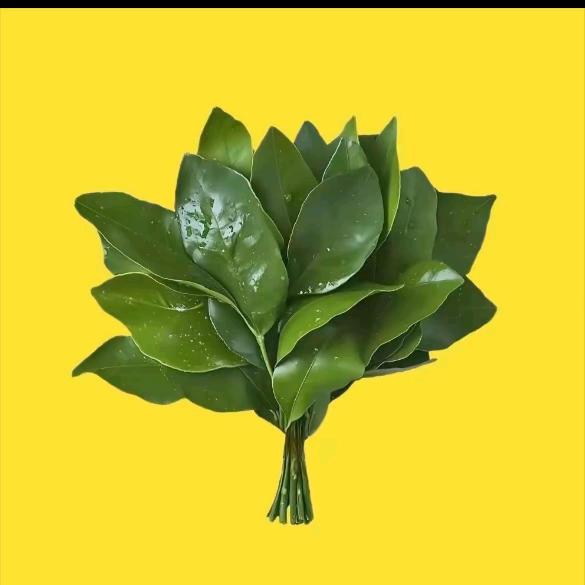 @এ᭄米多多