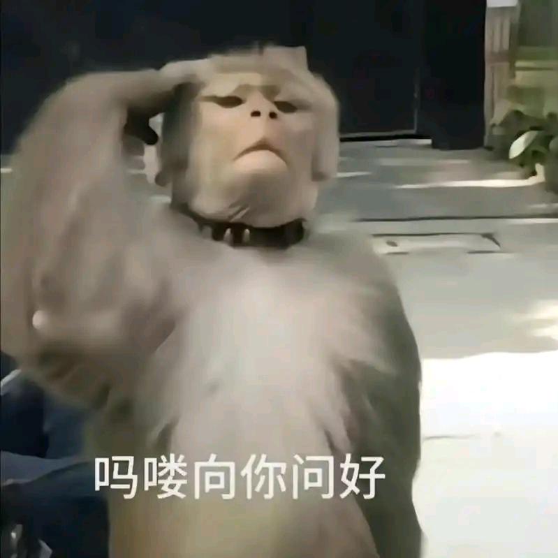 快乐的吗喽