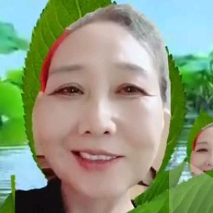 鑫奶奶（猩奶奶/星奶奶）