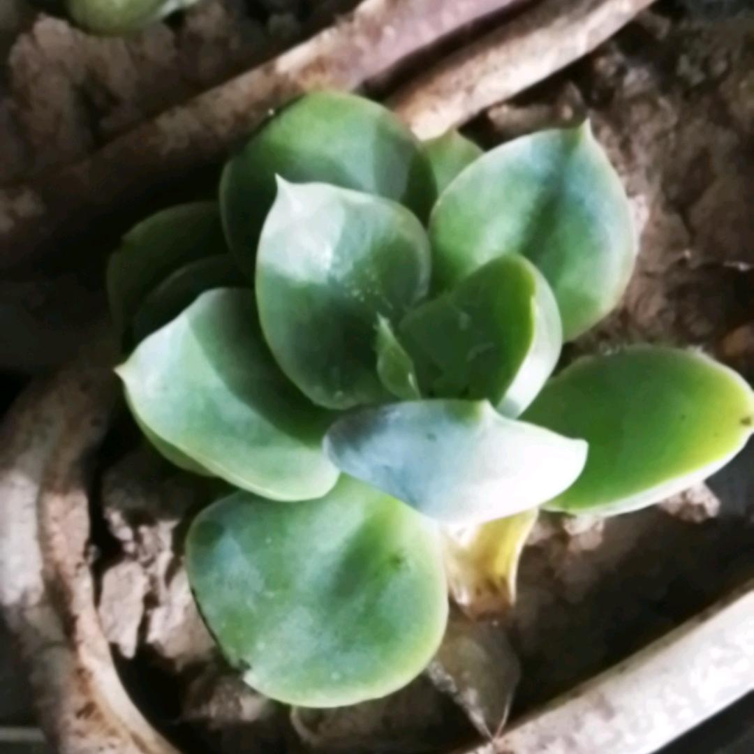 用户662235235753