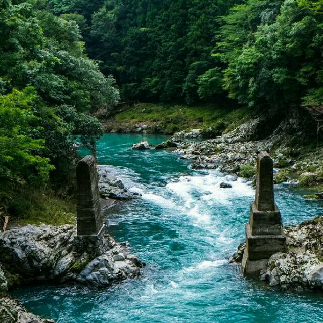 生龙活虎
