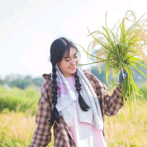 金地生物植保