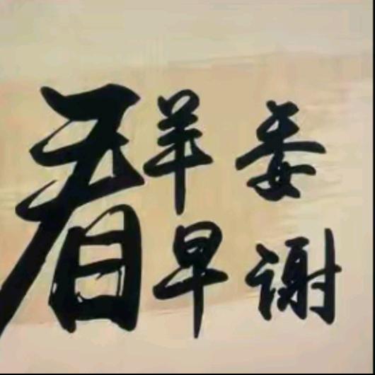 温州、圆圆练鸟