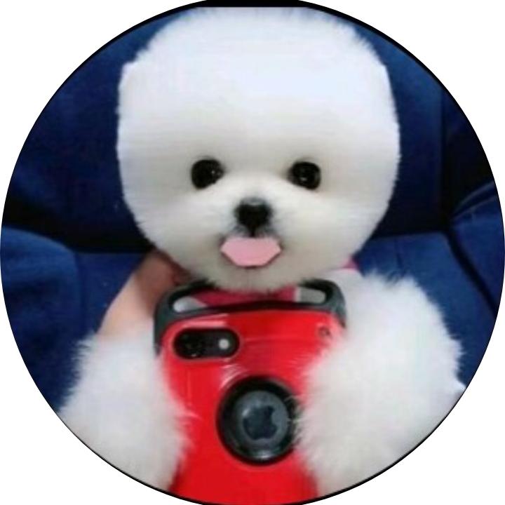 《🇨🇳猕猴桃子🇨🇳》❤️♥️♥️