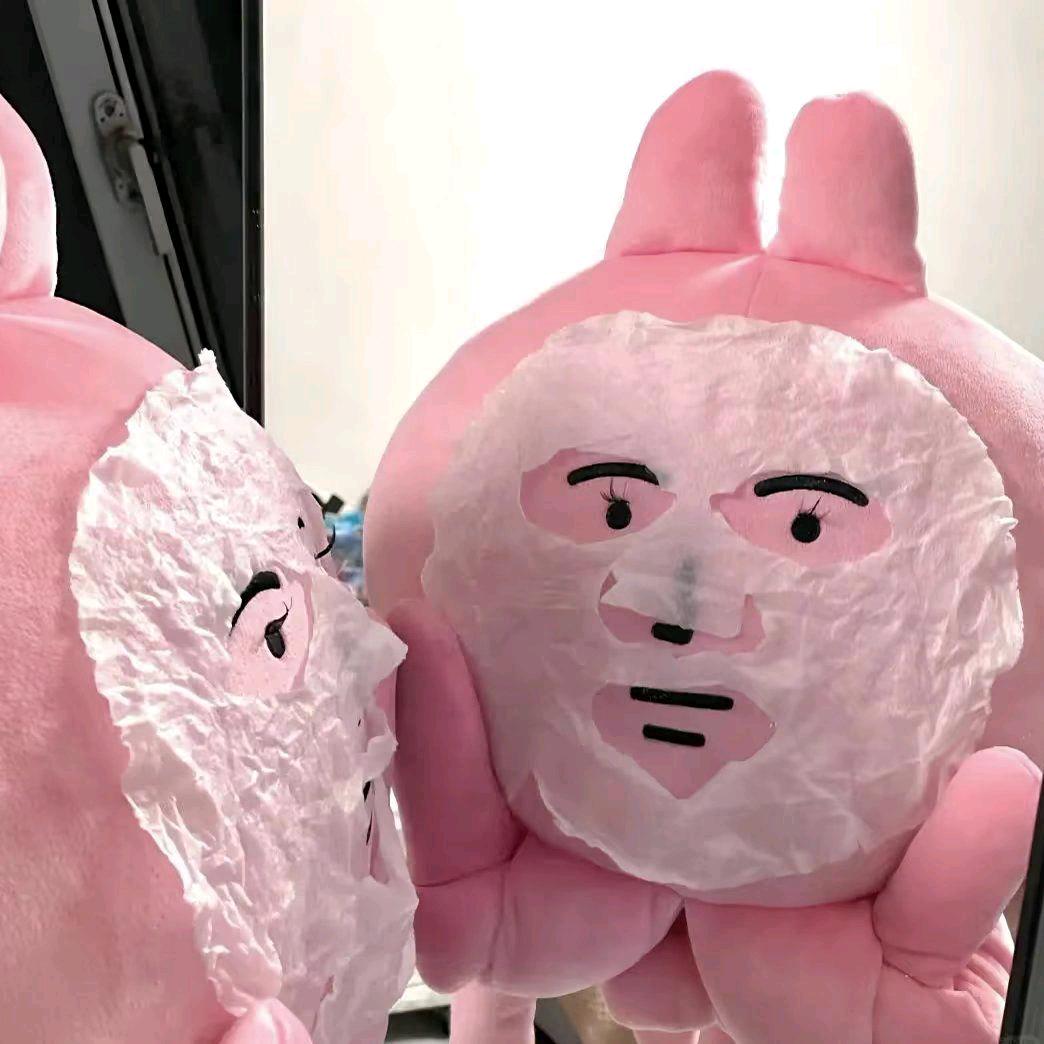 ≽^•⩊•^≼