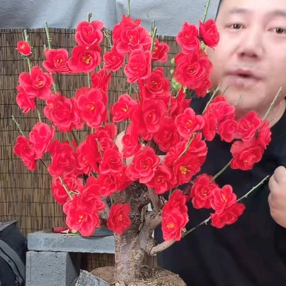 西门大官人