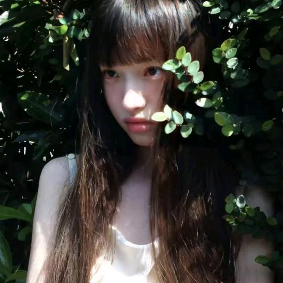 羊好好