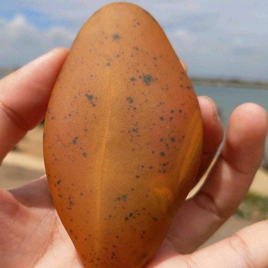 赣江一线石农