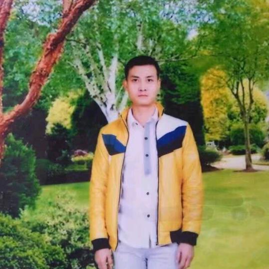 从不后悔杨宗恺单身