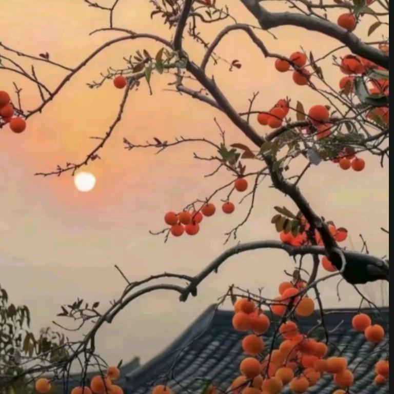 幸福宝贝