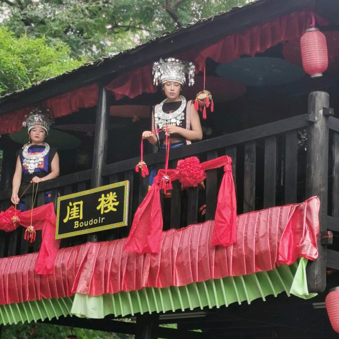 秋天的绿叶
