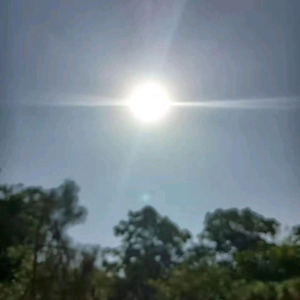 九点钟的太阳