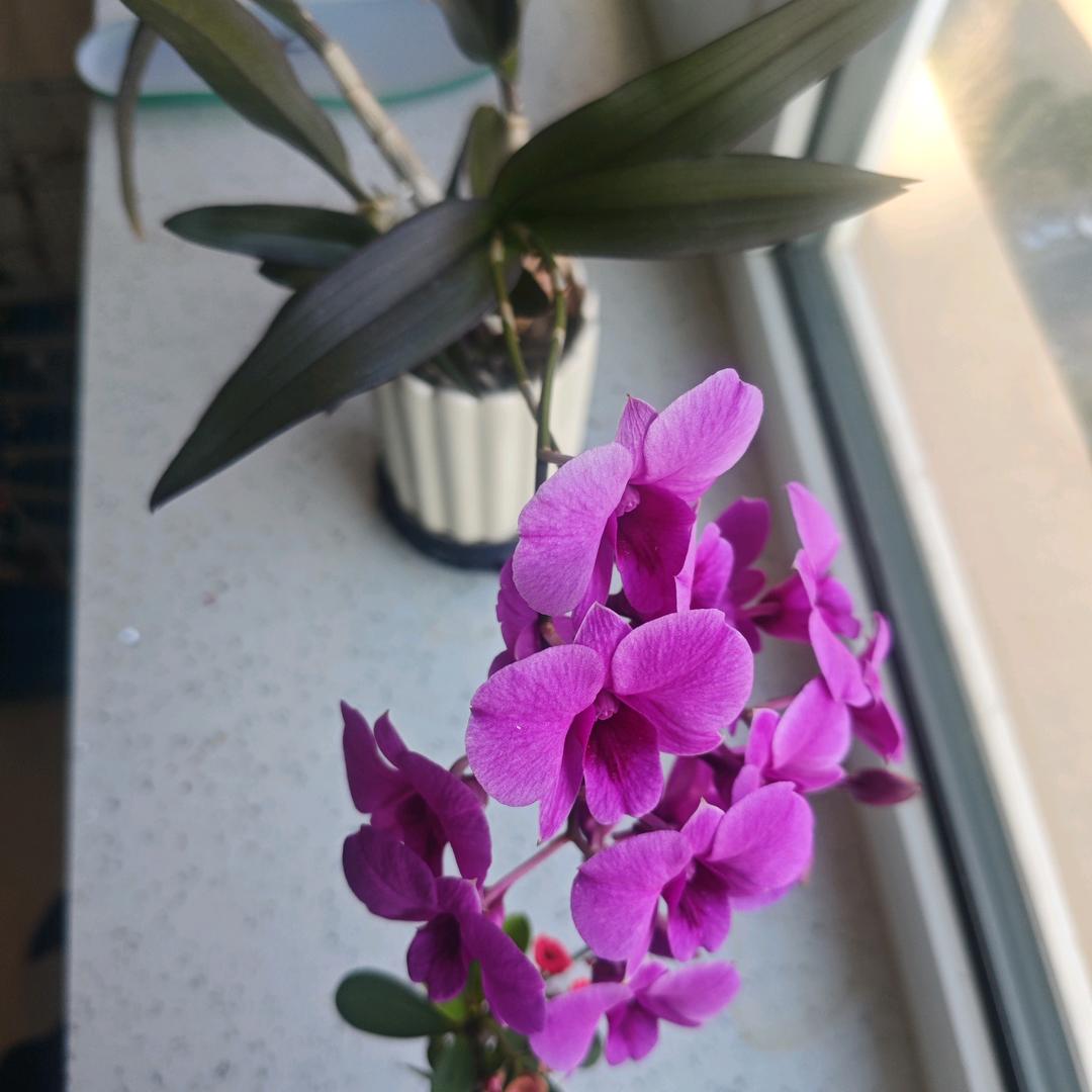 开心快乐每一天