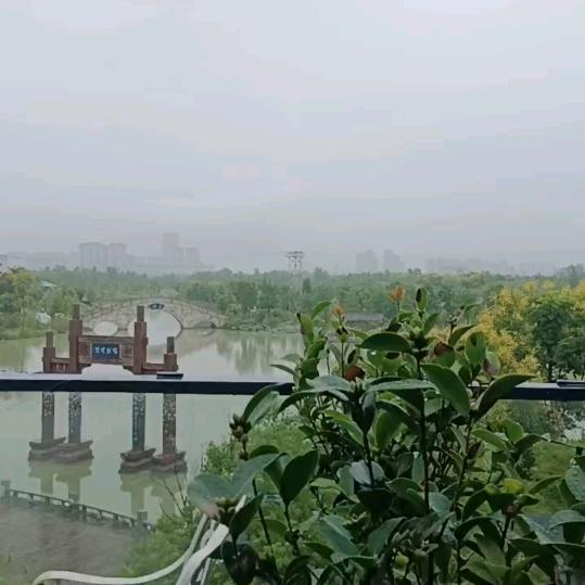 民姐