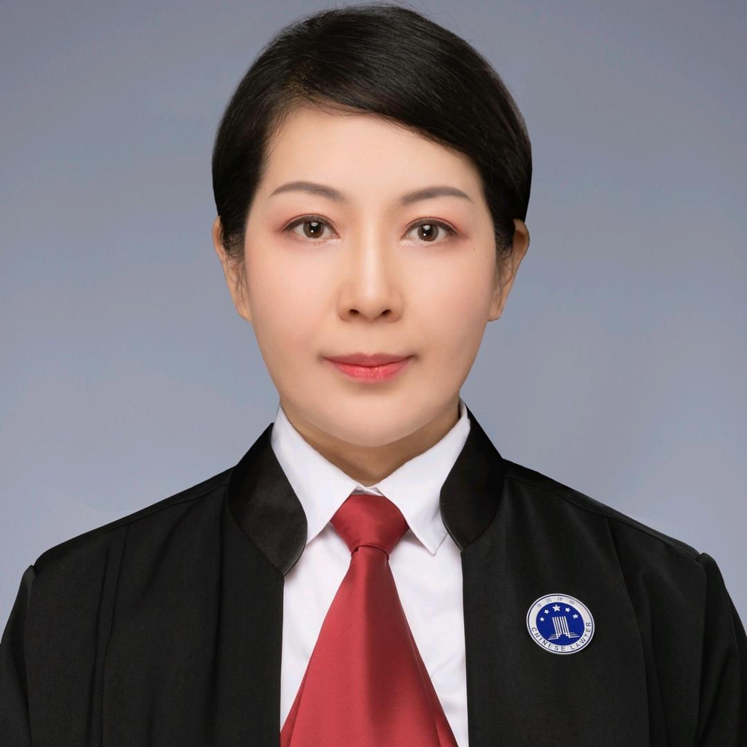 上海于律师 主任团队精英律师