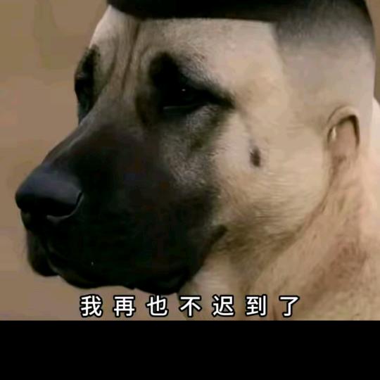 剑碎末日陨星