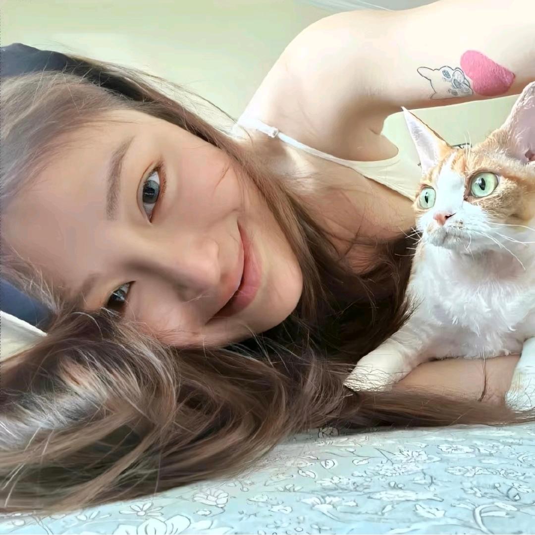 爱睡觉.